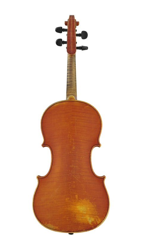 提琴背面